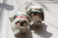 RUANA Y SOMBRERO