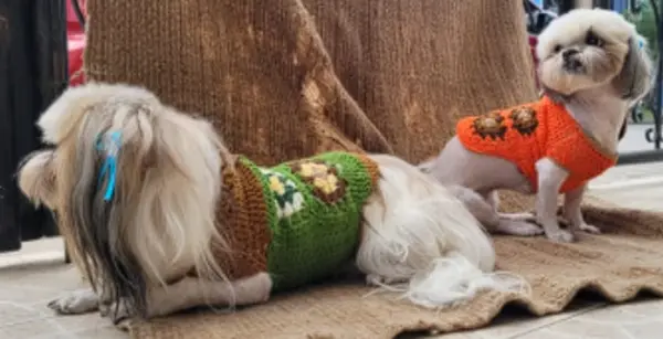 VESTIDOS MASCOTAS
