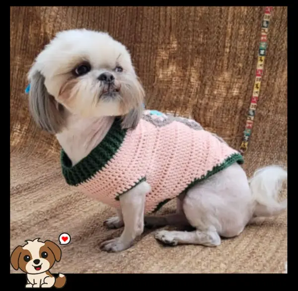 VESTIDOS MASCOTAS